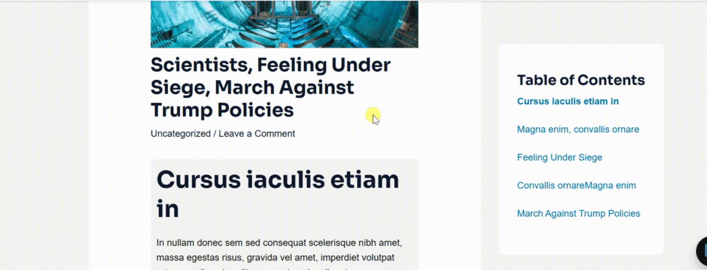 sticky table of content in wordpress final result
